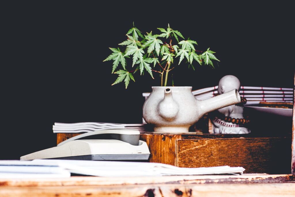 Sustainable Cannabis Consumption: Eco-Friendly Practices for Ottawa Users.
