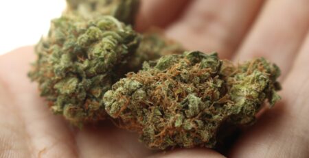 top weed strains in ottawa 2022
