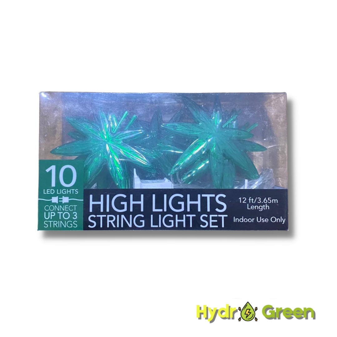 high lights