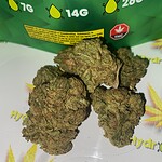 atomic northern lights