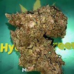 cotton candy kush