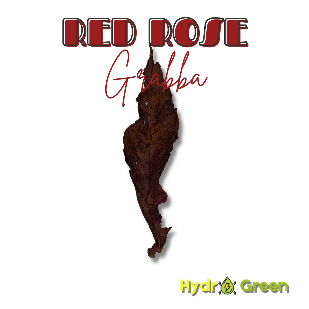 red rose grabba