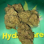 white widow