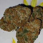 orange cookies