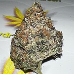 purple trainwreck