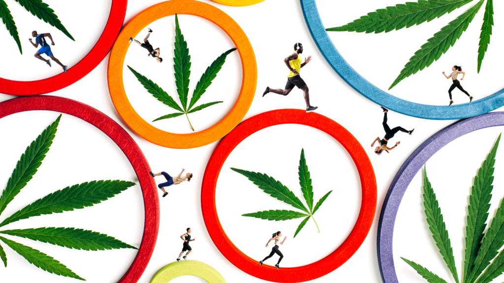 cannabis and endurance training