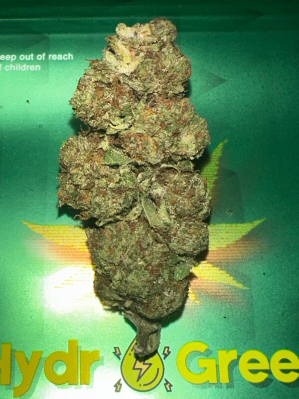critical kush