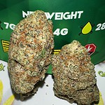 blue gelato