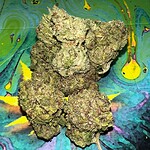 HYDRO GREEN CRACK