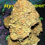 critical mass