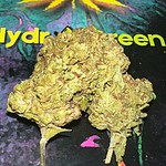 double og