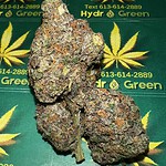 Grape God