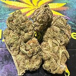grease monkey