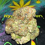 hardcore og