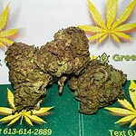 Cannabis buds on Hydro Green Shop branding background.
