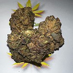 blackberry kush