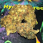 kosher kush