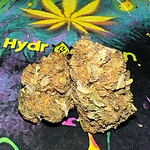 nuken