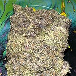 Top 10 Cannabis Strains for Stress Relief and Relaxation