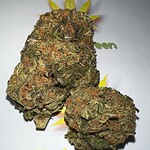 Top 10 Cannabis Strains for Stress Relief and Relaxation