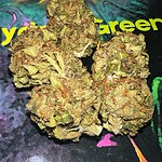 animal cookies