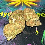dank commander