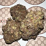 gucci pink
