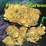 Mango Kush