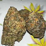 orange 43