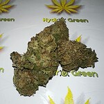 pink papaya