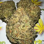 pink starburst