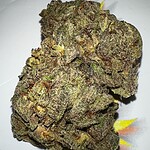 purple crack