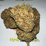 Pink Hydrogen