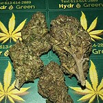 Afghan Kush - Cannabis Product