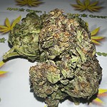 blue cookies