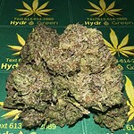 green gelato