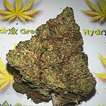 Rocket Fuel
