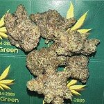 White Ivy - Cannabis Product
