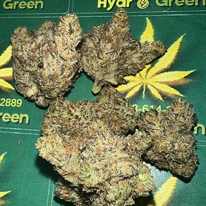 Premium cannabis buds for sale, high-quality hydro cannabis, organic flower, THC-rich marijuana, Hydro Green Shop cannabis collection.
