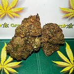 Cannabis buds, high-quality marijuana flower, medicinal and recreational cannabis product.