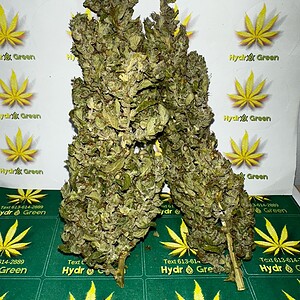 CBD-rich cannabis buds for medicinal use, displayed on Hydro Green Shop branded background.