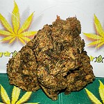 cali dragon