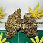 og kush