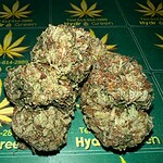 bubba og