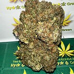 Rich green cannabis buds with orange pistils, covered in trichomes, on Hydro Green Shop branded background.