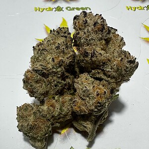 Dense cannabis buds with trichomes on white background.