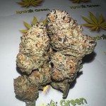 crystal coma