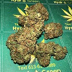 Aromatic cannabis buds displayed on Hydro Green Shop branded paper with marijuana leaf logo.