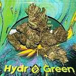 Dried cannabis buds on Hydro Green Shop branded packaging with colorful artwork.