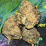 High-quality cannabis buds on colorful background, premium quality medicinal marijuana for sale.